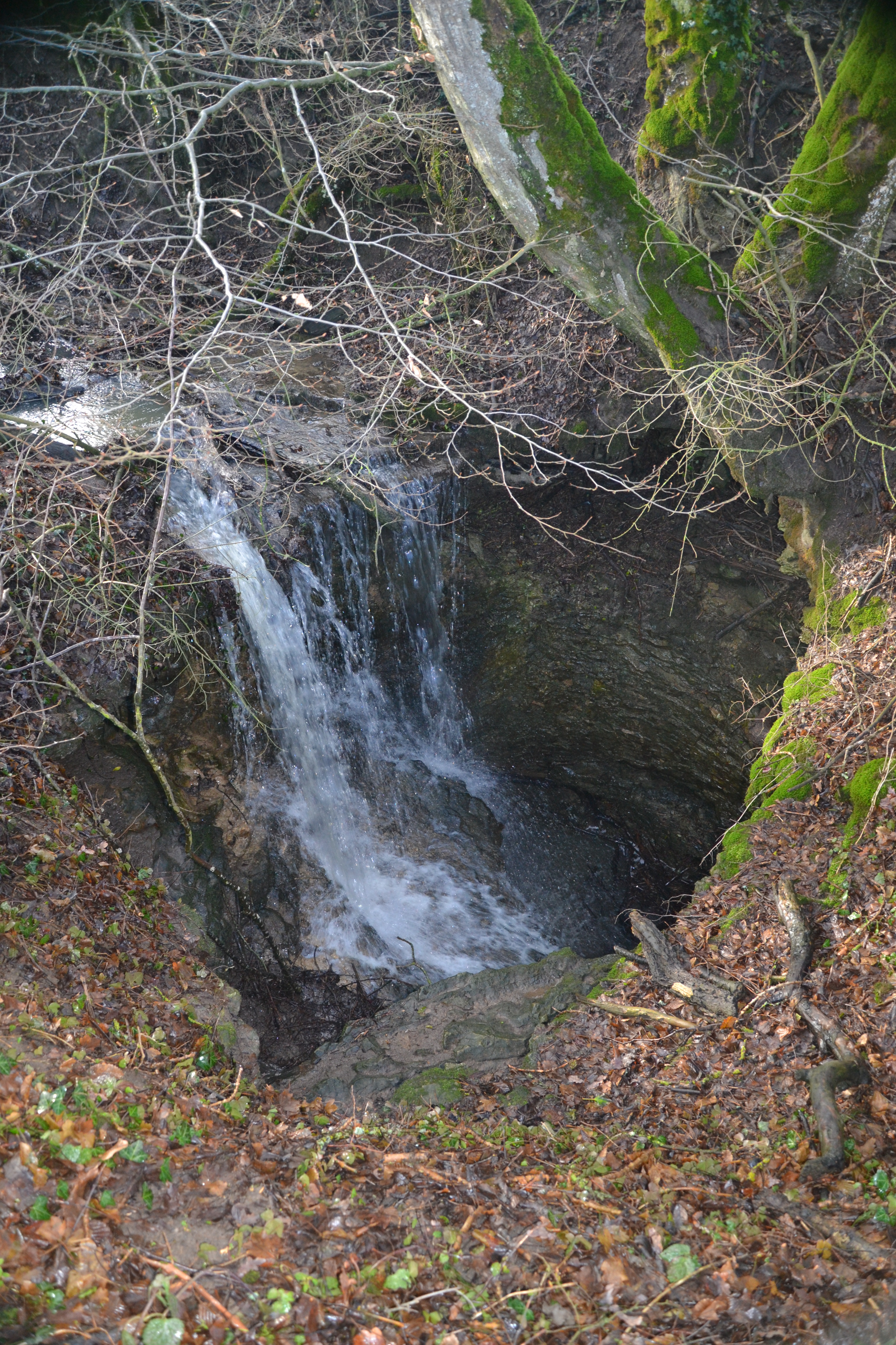 Perte