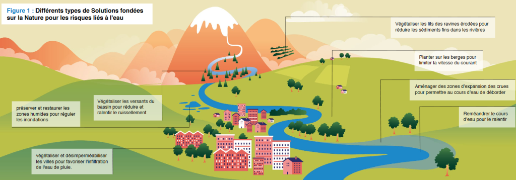 illustration des SFN face au risque liée à l'eau
